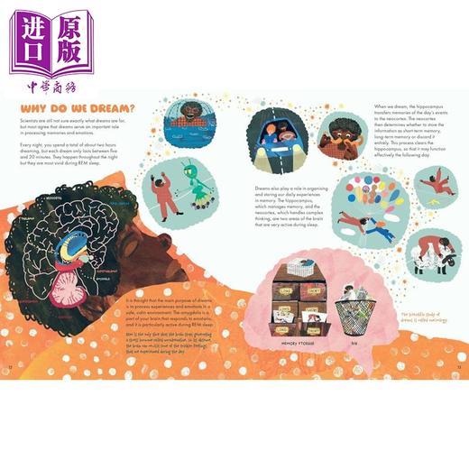 【中商原版】我们为什么要睡觉 Why Do We Sleep 英文原版进口 儿童科普 睡眠的科学和重要性 文字清晰易懂 插图生动鲜明 精装 商品图3