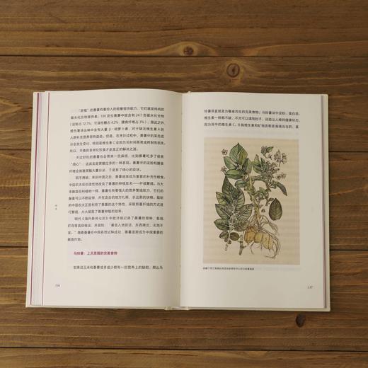“中国食物系列” x3本《粮食史话》+《蔬菜史话》+《水果史话》以历史发展为线索，探寻中国人的饮食文化及植物故事科普 植物学博士史军著作-分销 商品图4