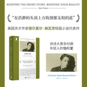 责任始于幻梦 短经典精选德尔莫尔施瓦茨短篇小说原生家庭童年创伤