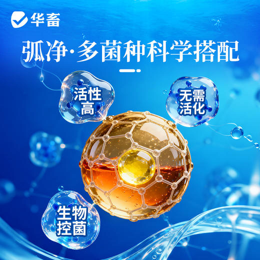 华畜弧菌克星弧菌净水产养殖对虾鱼杀菌虾偷死白斑空肠空胃噬害菌 商品图3