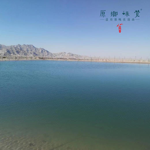 有机红枸杞（成都仓库-顺丰快递）| 130g/罐，来自青海格尔木，生产者：刘江丽【合作生产，公平贸易】 商品图7