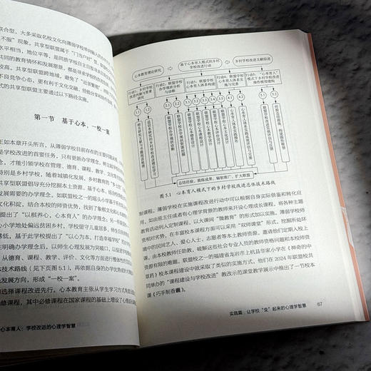 心本育人 学校改进的心理学智慧 大夏书系 学校领导力 邵永红 商品图13