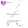 预售 【中商原版】加拿大课程练习册 数学高级全攻略 7年级 数学应用题 英文原版 Popular  Advanced Complete MathSmart Grade 7 商品缩略图4