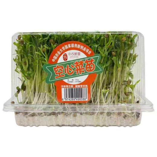 本色家族 空心菜苗6盒 商品图0