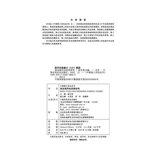 深远海风电发展研究（中国海上风电丛书） 商品图2