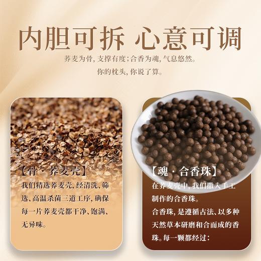 热卖！8味安神合香，让你夜夜好眠！ 兰序 合香荞麦枕 呵护颈椎（礼盒装） 商品图2