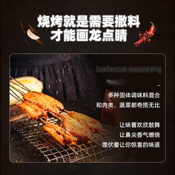 百钻原味烧烤撒料130g 家用烤肉鱼户外烤牛羊肉串干碟蘸料复合调味料 /粮油调味 /调味品 /复合香辛料 商品图0