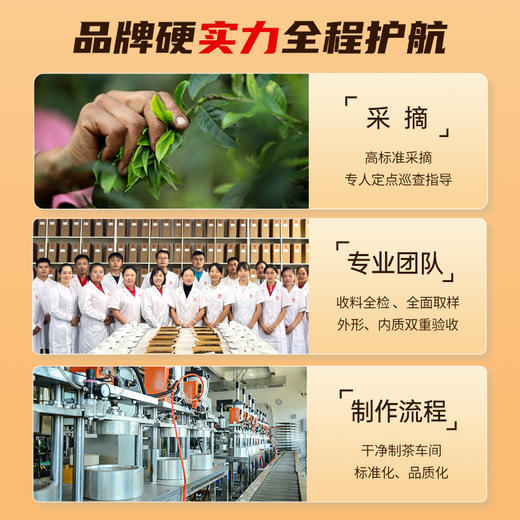 【福利】澜沧古茶2024茶妈妈手冲普洱熟茶挂耳茶自饮便携办公好茶 商品图5