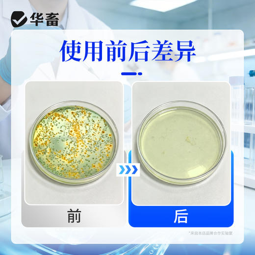 华畜弧菌克星弧菌净水产养殖对虾鱼杀菌虾偷死白斑空肠空胃噬害菌 商品图4