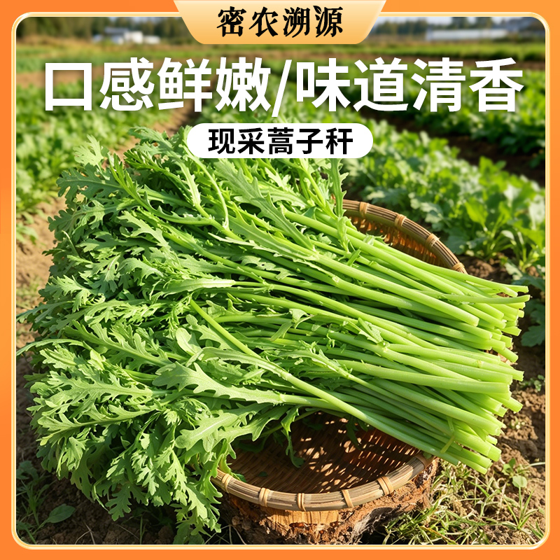 密云现拔蒿子秆 300g  清新爽口   鲜嫩水润  适合涮火锅