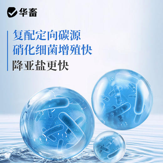 华畜硝化细菌水产养殖专用生物降氨氮亚硝酸盐调水净水反硝化细菌 商品图2