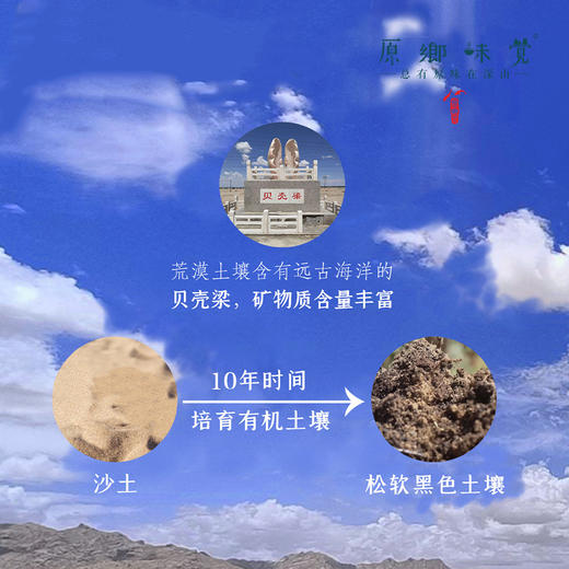 有机红枸杞（成都仓库-顺丰快递）| 130g/罐，来自青海格尔木，生产者：刘江丽【合作生产，公平贸易】 商品图6