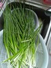 【MLT】小葱 商品缩略图1
