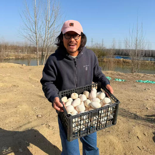 【排单发货】散养鹅蛋丨吃粮食/谷物长大的 蛋清浓稠 蛋黄紧致 腥味小，个头大小不一，介意慎拍‼️现产现发，不接急单！⭐️顺丰快递 商品图1