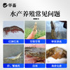 华畜弧菌克星弧菌净水产养殖对虾鱼杀菌虾偷死白斑空肠空胃噬害菌 商品缩略图1