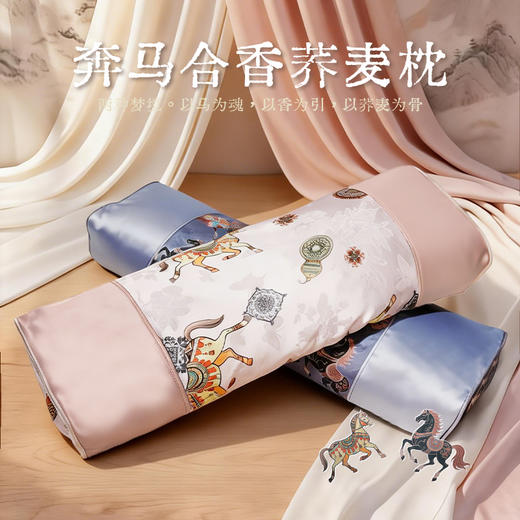 热卖！8味安神合香，让你夜夜好眠！ 兰序 合香荞麦枕 呵护颈椎（礼盒装） 商品图0