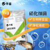 华畜硝化细菌水产养殖专用生物降氨氮亚硝酸盐调水净水反硝化细菌 商品缩略图0