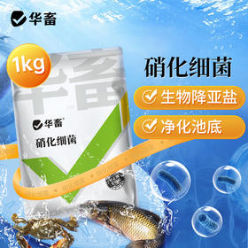 华畜硝化细菌水产养殖专用生物降氨氮亚硝酸盐调水净水反硝化细菌