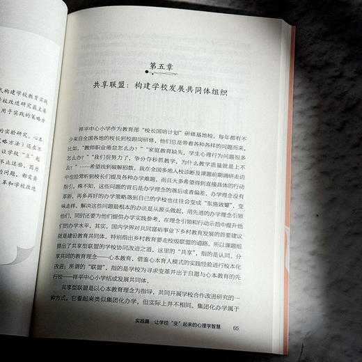 心本育人 学校改进的心理学智慧 大夏书系 学校领导力 邵永红 商品图12