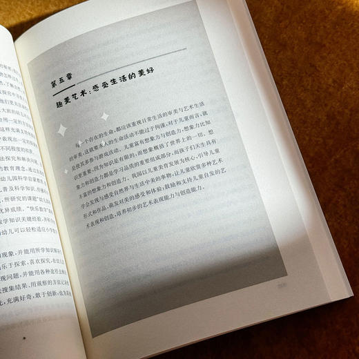 看见儿童成长的轨迹 一位幼儿园园长的课程叙事 幼儿园园本课程设计与实施 课例与教育故事展示 商品图11