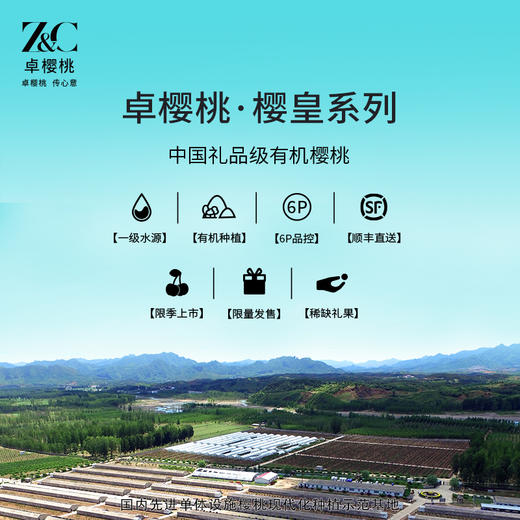 【自营】卓樱桃 樱皇系列高端有机爆汁A+级 樱桃礼盒 800g/箱 3J/4J 商品图4