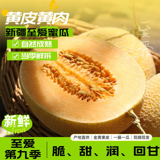 新疆至爱哈密瓜 脆甜多汁 绿色食品认证 一藤一瓜 国货之光 黄皮黄肉 现摘现发 商品图0