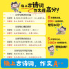 把古诗词写进作文 商品缩略图5