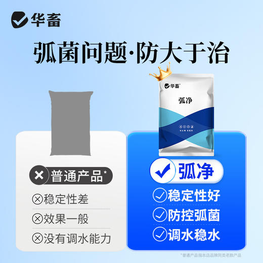 华畜弧菌克星弧菌净水产养殖对虾鱼杀菌虾偷死白斑空肠空胃噬害菌 商品图2