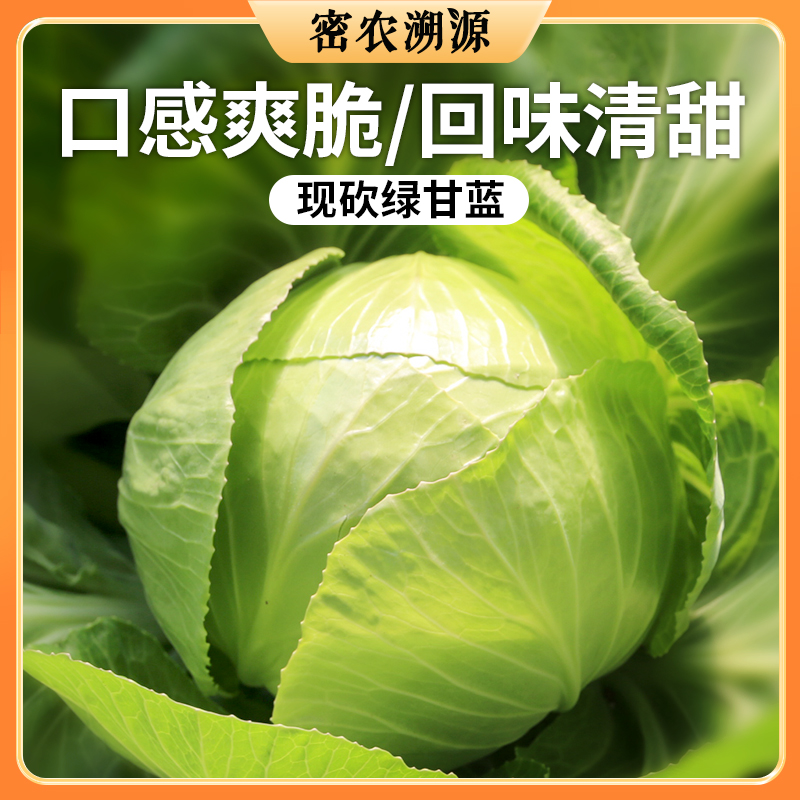 密云现砍绿甘蓝500g    口感脆嫩  新鲜爽口   圆白菜