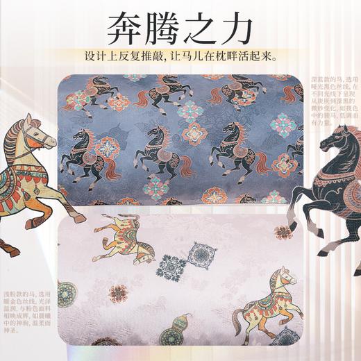 热卖！8味安神合香，让你夜夜好眠！ 兰序 合香荞麦枕 呵护颈椎（礼盒装） 商品图1