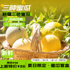 新疆三拼蜜瓜盲盒 三色哈密瓜宝盒 脆甜多汁 一藤一瓜 三种甜蜜 商品缩略图0
