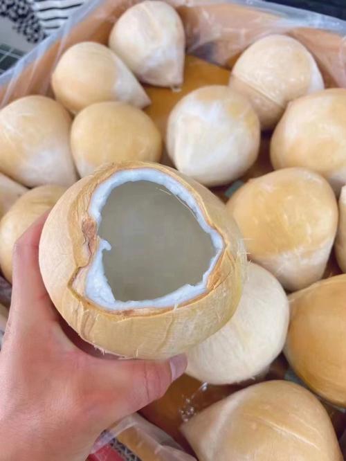 B1F【水果】椰皇  规格：1个（取货日期：即买即取）