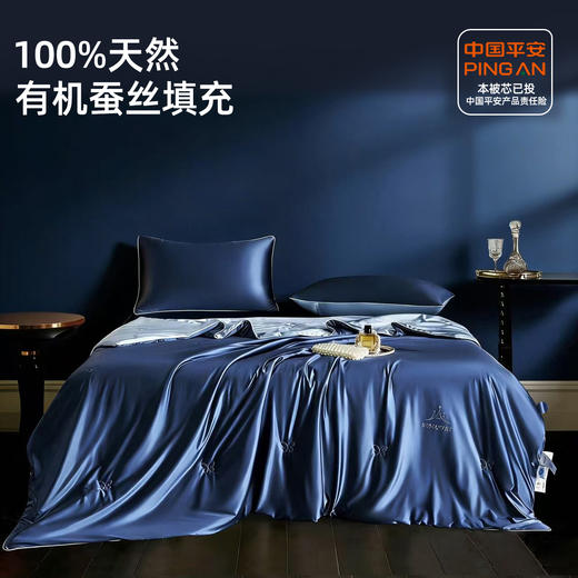 【高品质冰丝绸夏被丨单独被子】100%有机蚕丝填充层，搭配冰丝绸！贴肤即凉的舒适感，安心好睡眠！【LM-X】 商品图0