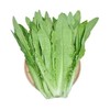 【MLT】油麦菜 商品缩略图1