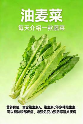 【MLT】油麦菜