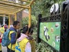 5.30【成都小小文化大使·双语版动物园探索家】亲子游学：大熊猫、川金丝猴…走进灵长类动物的世界、川大英语讲师+悉尼大学双学位硕士双语带团、紧扣中小学英语课本、沉浸体验玩中学 商品缩略图8