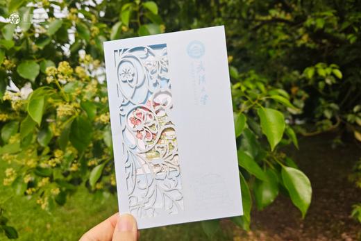 武大珞珈风吟明信片 商品图3