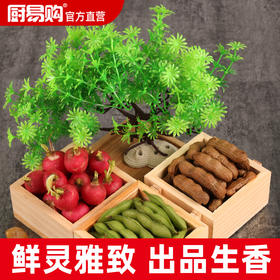 造景大师系列—唯美【新景树】 随手一放即可绽放唯美！