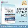 全球关键矿产展望2025 赵相宽 徐佳佳 王欢主 9787030840288 商品缩略图0