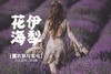 伊犁花海，徒步天山 7天6晚 商品缩略图0