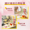 【超值2盒装】立顿 日养嫣然/日养如意花茶组合装 自然好风味 商品缩略图7