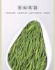 安吉白茶玉竹特级礼盒250g；25年茶原价498特价298！！！ 商品缩略图1