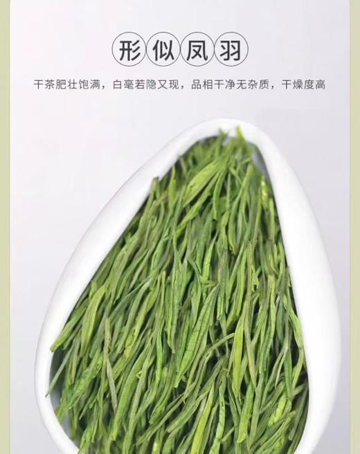 安吉白茶玉竹特级礼盒250g；25年茶原价498特价298！！！ 商品图1