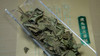 懂茶帝-万瑞春锦屏2020年隐枞二级50克/盒（拍一发二） 商品缩略图2