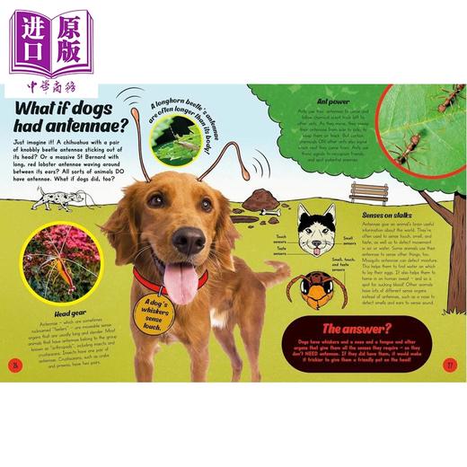 预售 【中商原版】如果......猪会飞 What If... Pigs Could Fly 英文原版 儿童科普读物绘本 幽默风趣 丰富插图 科学解释 进口童书 商品图3