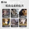 华畜强效生物脱霉剂兽用猪牛羊鸡鸭鹅饲料添加剂玉米脱霉净防拉稀 商品缩略图2