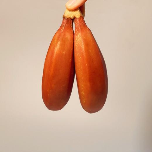 福建火焰香蕉 商品图2