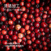 “下单赠果粉勺1个”几分之几 北欧越橘蓝莓粉/蔓越莓粉 保留果肉颗粒 保量更多营养 北欧瑞典芬兰森林采摘原料进口 新式果实萃取粉 70g/盒 商品缩略图2