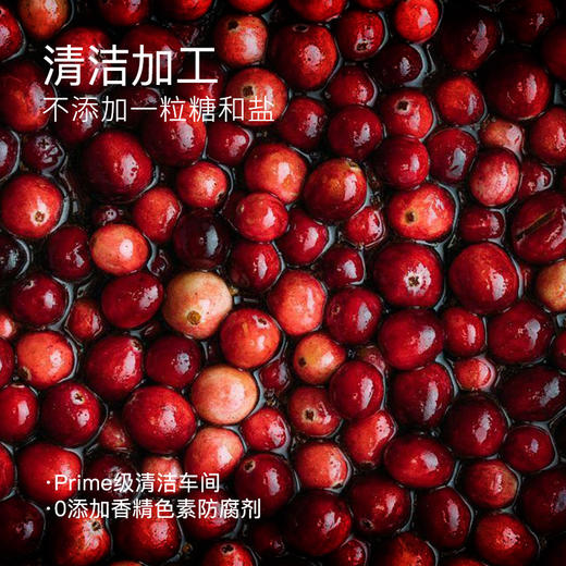 “下单赠果粉勺1个”几分之几 北欧越橘蓝莓粉/蔓越莓粉 保留果肉颗粒 保量更多营养 北欧瑞典芬兰森林采摘原料进口 新式果实萃取粉 70g/盒 商品图2