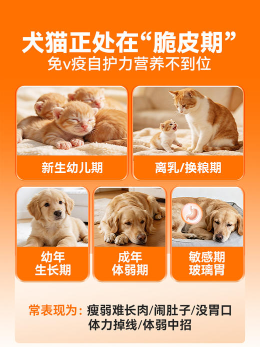 普安特羊初乳膏猫咪狗狗脆皮期专用免疫球蛋白lgG增强体质宠壮壮 商品图1
